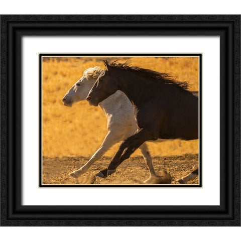 Horse Race Black Ornate Wood Framed Art Print with Double Matting by Yellow Cafe