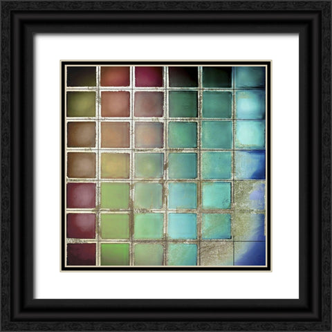 Color Chart IV Black Ornate Wood Framed Art Print with Double Matting by Sommers, Mindy