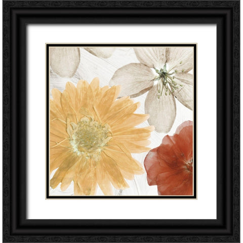 Cottage Refrain II Black Ornate Wood Framed Art Print with Double Matting by Sommers, Mindy