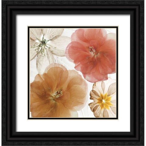 Cottage Refrain I Black Ornate Wood Framed Art Print with Double Matting by Sommers, Mindy