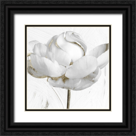 Gilded II Black Ornate Wood Framed Art Print with Double Matting by Sommers, Mindy