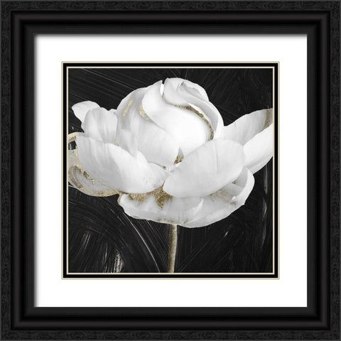 Gilded III Black Ornate Wood Framed Art Print with Double Matting by Sommers, Mindy