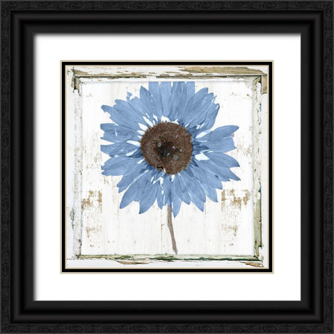 Blue Sunflower Redux Black Ornate Wood Framed Art Print with Double Matting by Sommers, Mindy