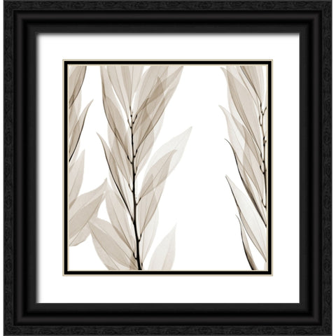 Natural Emotions Black Ornate Wood Framed Art Print with Double Matting by Sommers, Mindy