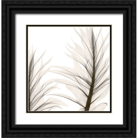 Natural Emotions II Black Ornate Wood Framed Art Print with Double Matting by Sommers, Mindy