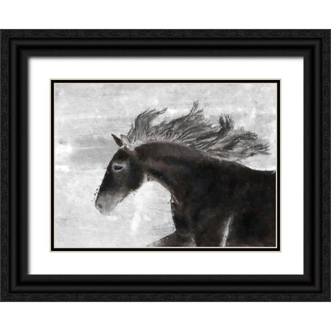 Black Horse Black Ornate Wood Framed Art Print with Double Matting by Sommers, Mindy