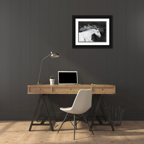 White Horse Black Ornate Wood Framed Art Print with Double Matting by Sommers, Mindy