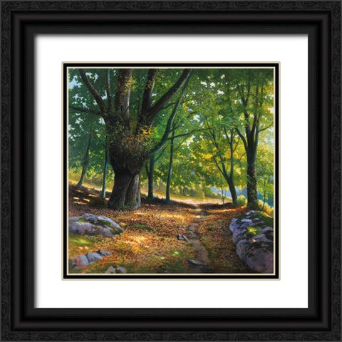 Luce nel bosco Black Ornate Wood Framed Art Print with Double Matting by Galasso, Adriano