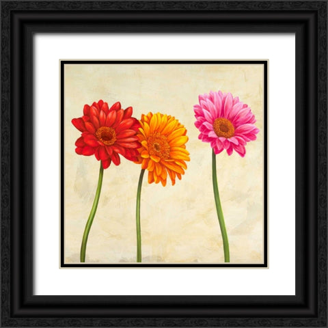 Gerberas Black Ornate Wood Framed Art Print with Double Matting by Ann, Cynthia