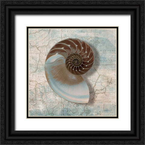 Nautilus Black Ornate Wood Framed Art Print with Double Matting by Broome, Ted