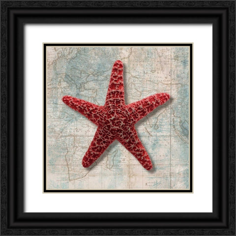 Starfish Black Ornate Wood Framed Art Print with Double Matting by Broome, Ted