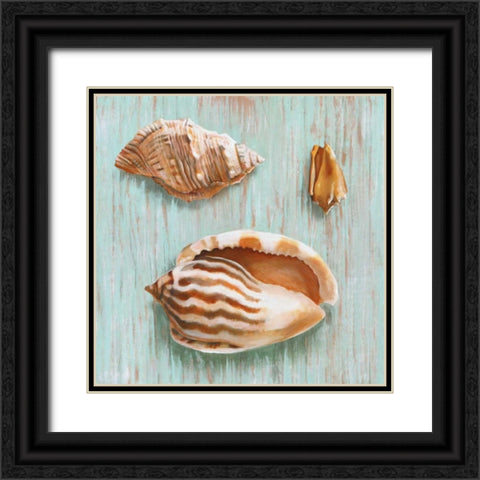 Bretagne II Black Ornate Wood Framed Art Print with Double Matting by Broome, Ted