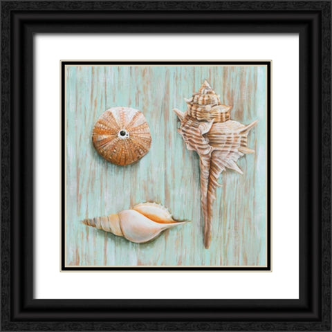 Bretagne III Black Ornate Wood Framed Art Print with Double Matting by Broome, Ted