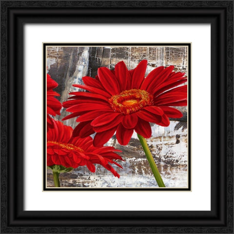 Red Gerberas II Black Ornate Wood Framed Art Print with Double Matting by Thomlinson, Jenny