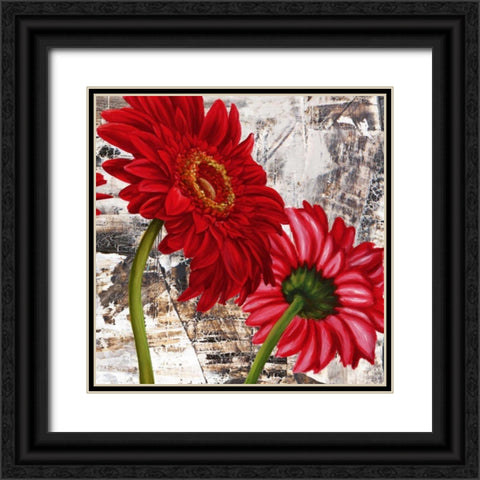 Red Gerberas III Black Ornate Wood Framed Art Print with Double Matting by Thomlinson, Jenny