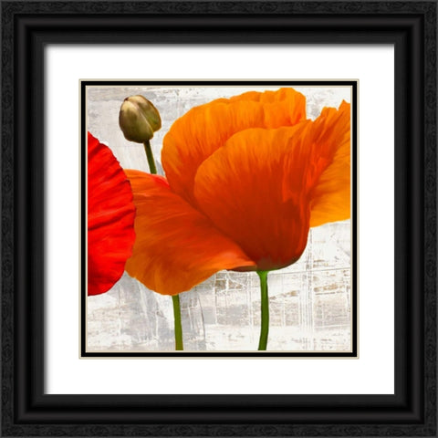Summer Poppies II Black Ornate Wood Framed Art Print with Double Matting by Thomlinson, Jenny