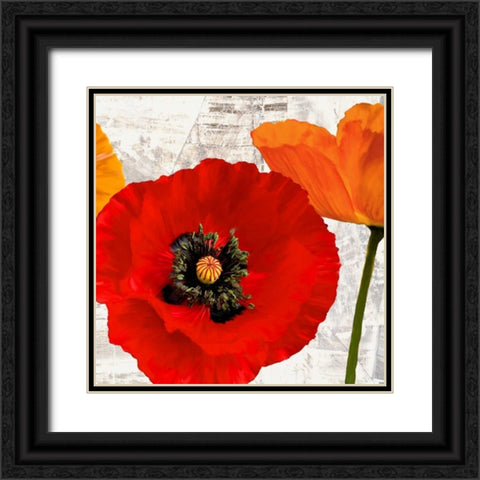 Summer Poppies III Black Ornate Wood Framed Art Print with Double Matting by Thomlinson, Jenny