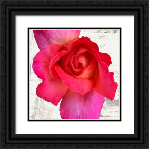 Spring Roses I Black Ornate Wood Framed Art Print with Double Matting by Thomlinson, Jenny