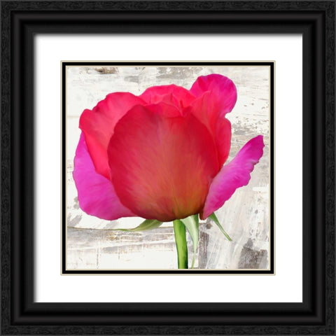 Spring Roses II Black Ornate Wood Framed Art Print with Double Matting by Thomlinson, Jenny