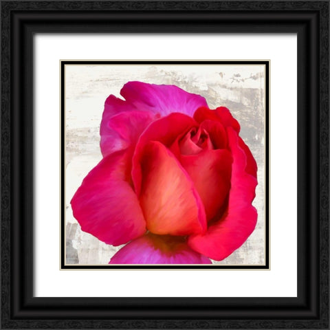 Spring Roses III Black Ornate Wood Framed Art Print with Double Matting by Thomlinson, Jenny