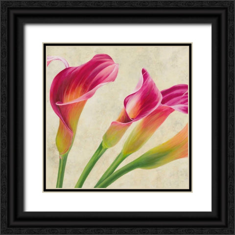 Calla parade Black Ornate Wood Framed Art Print with Double Matting by Villa, Luca