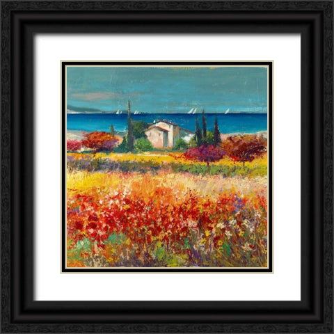 Sogno mediterraneo Black Ornate Wood Framed Art Print with Double Matting by Florio, Luigi