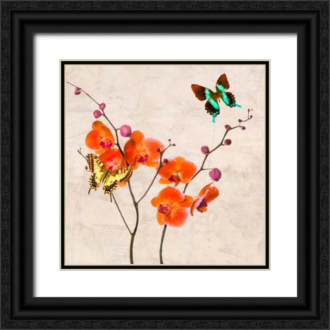 Orchids and Butterflies I Black Ornate Wood Framed Art Print with Double Matting by Rizzardi, Teo
