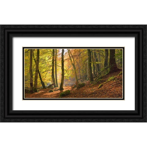Autumn beech woods Birks o Aberfeldy Black Ornate Wood Framed Art Print with Double Matting by Anonymous