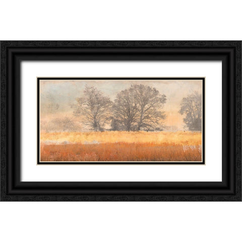 Trees in the Mist Black Ornate Wood Framed Art Print with Double Matting by Aprile, Alessio