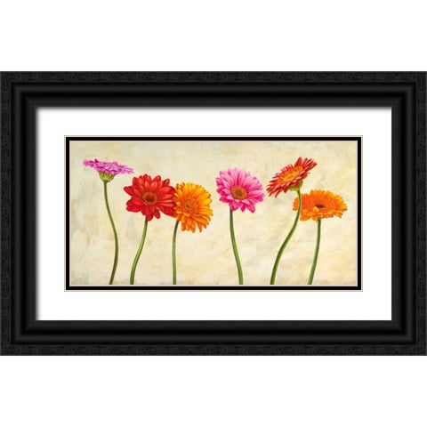 Gerberas Black Ornate Wood Framed Art Print with Double Matting by Ann, Cynthia
