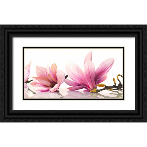 Magnolia Black Ornate Wood Framed Art Print with Double Matting by Ann, Cynthia
