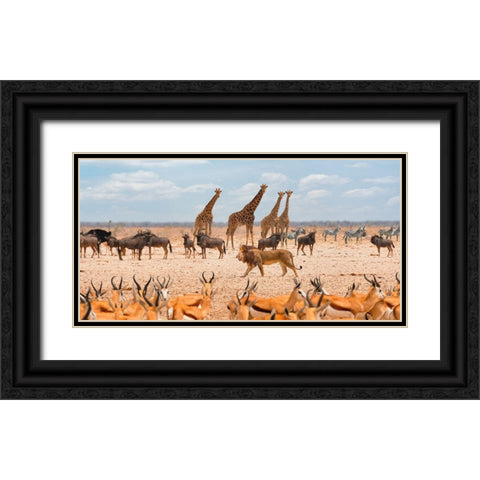 Sovereign passing by (Masai Mara) Black Ornate Wood Framed Art Print with Double Matting by Pangea Images