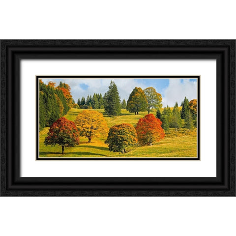 Autumn in Quebec Black Ornate Wood Framed Art Print with Double Matting by Pangea Images
