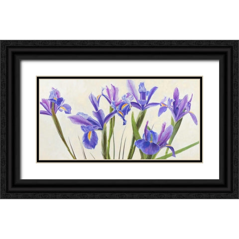 Iris Black Ornate Wood Framed Art Print with Double Matting by Dolci, Elena