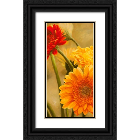 Gerbere nel sole I Black Ornate Wood Framed Art Print with Double Matting by Biffi, Serena