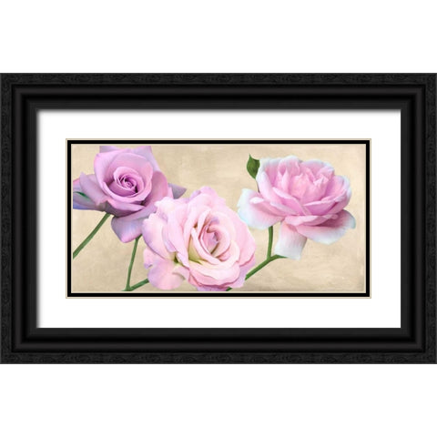 Rose classiche Black Ornate Wood Framed Art Print with Double Matting by Biffi,  Serena
