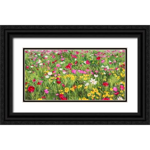 Field of Flowers Black Ornate Wood Framed Art Print with Double Matting by Mei, Silvia