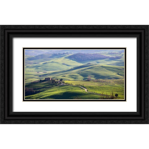 A road in Tuscany Black Ornate Wood Framed Art Print with Double Matting by Ratsenskiy, Vadim