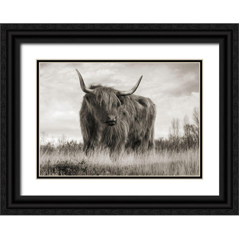Scottish Highland Cattle (BW) Black Ornate Wood Framed Art Print with Double Matting by Pangea Images