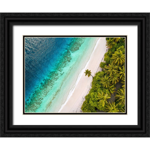 Tropical Beach, Aerial View Black Ornate Wood Framed Art Print with Double Matting by Pangea Images