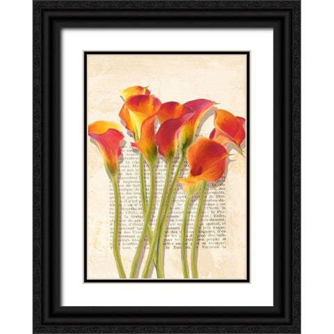 Callas et Histoires Black Ornate Wood Framed Art Print with Double Matting by Villa, Luca