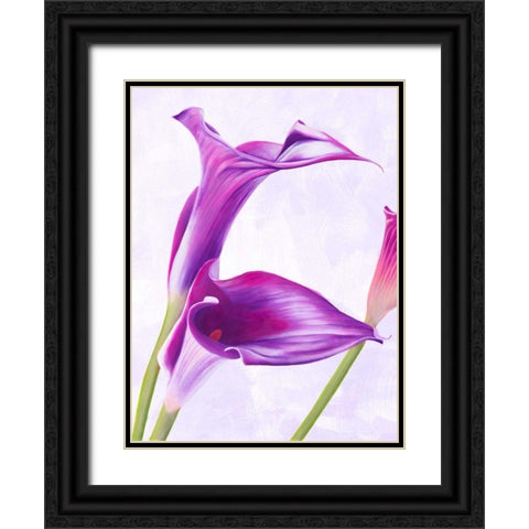 Duet I Black Ornate Wood Framed Art Print with Double Matting by Villa, Luca