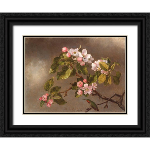 Hummingbird and Apple Blossoms  Black Ornate Wood Framed Art Print with Double Matting by Heade, Martin Johnson