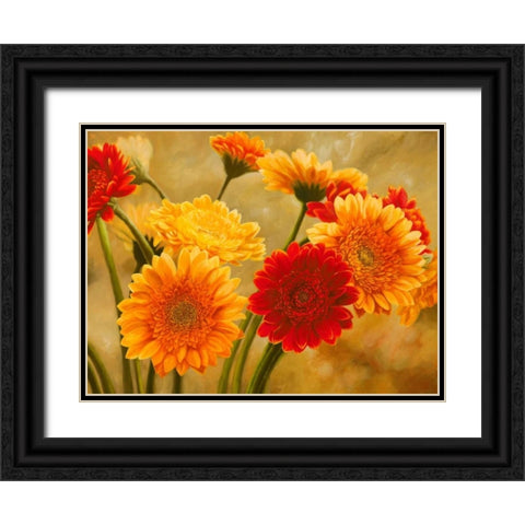 Gerbere nel sole Black Ornate Wood Framed Art Print with Double Matting by Biffi, Serena