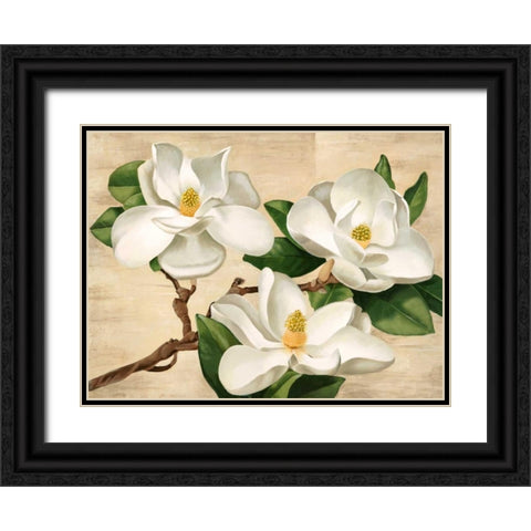Magnolie bianche Black Ornate Wood Framed Art Print with Double Matting by Biffi, Serena