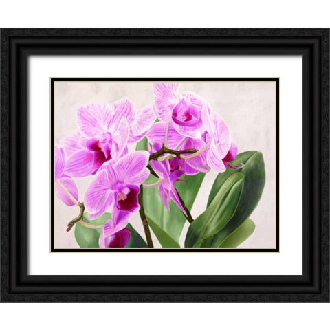 Orchidee selvagge Black Ornate Wood Framed Art Print with Double Matting by Jannace, Sergio