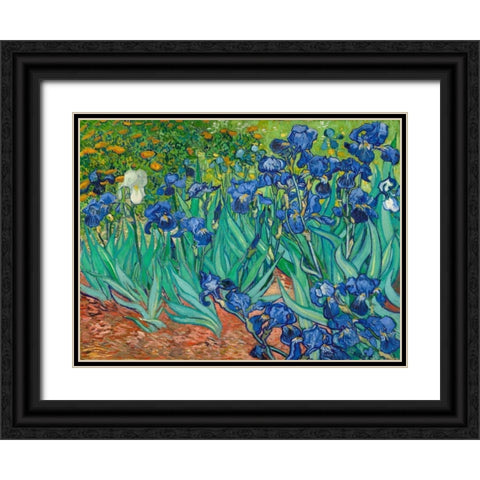 Irises Black Ornate Wood Framed Art Print with Double Matting by Van Gogh, Vincent