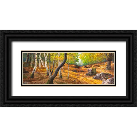 Sentiero nel bosco Black Ornate Wood Framed Art Print with Double Matting by Galasso, Adriano