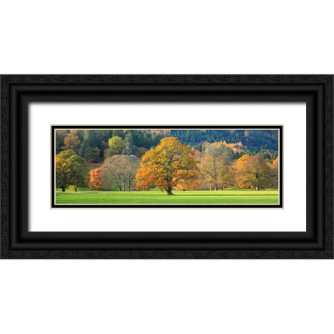 Mixed trees in autumn colour Scotland Black Ornate Wood Framed Art Print with Double Matting by Anonymous