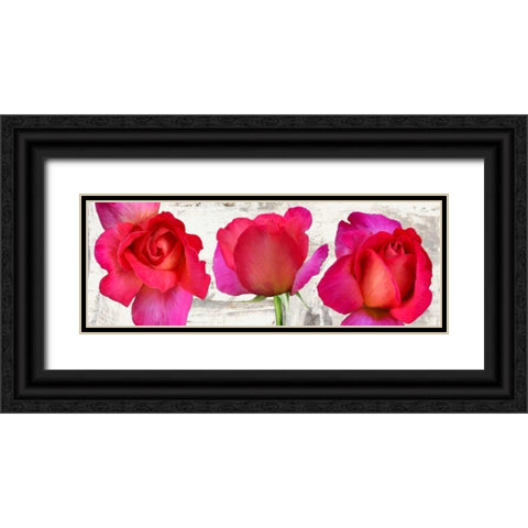 Spring Roses Black Ornate Wood Framed Art Print with Double Matting by Thomlinson, Jenny